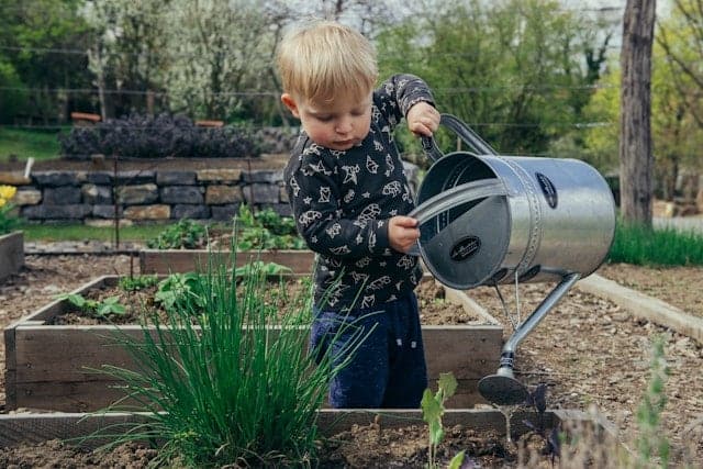 chores for kids by age - watering plants