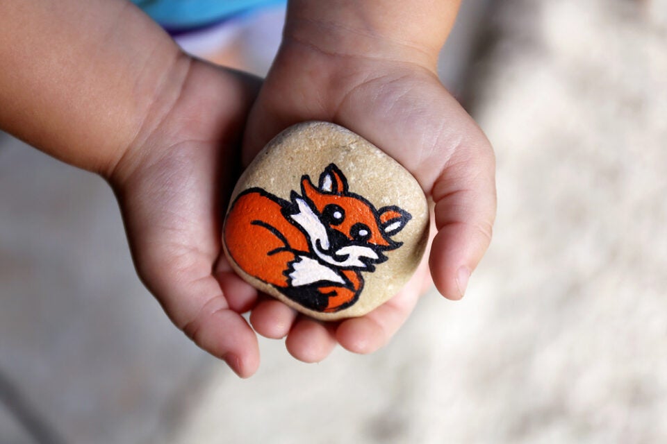 A child holding a rock with a fox painted on it