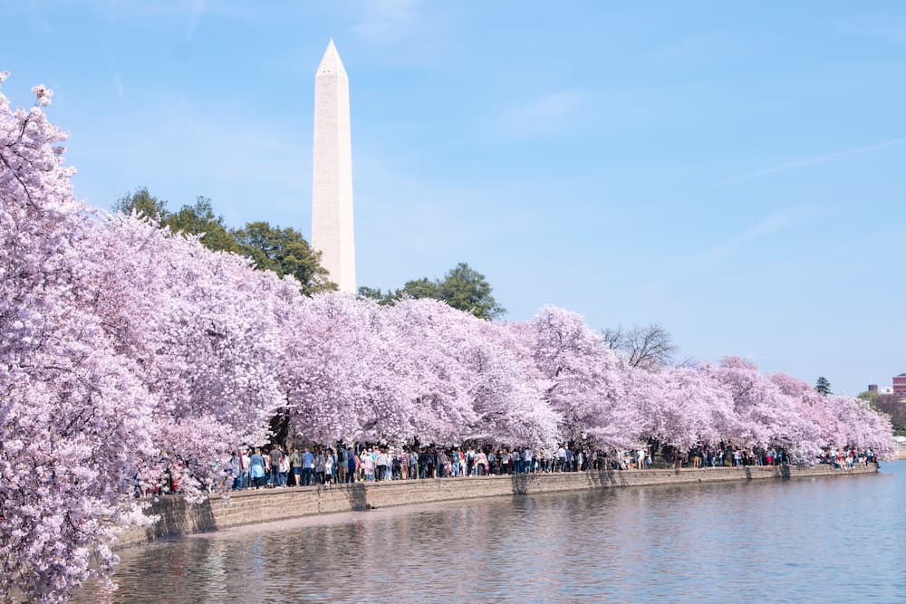 Explore 50 free family activities in Washington, D.C.