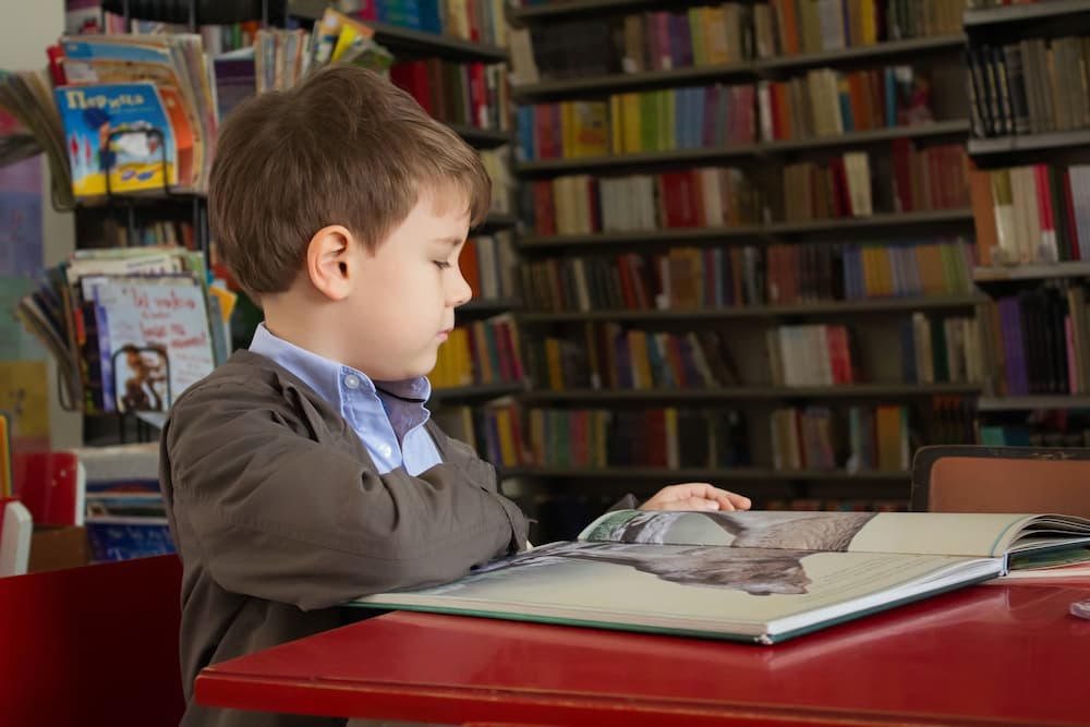 Child reading a picture book in a library