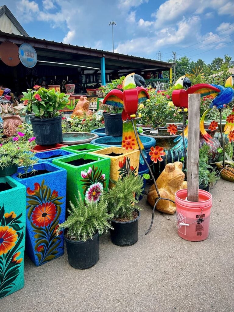 Brightly colored plants and pots at a farmer's market in Houston