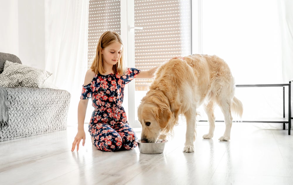 kid fostering independence by feeding dog
